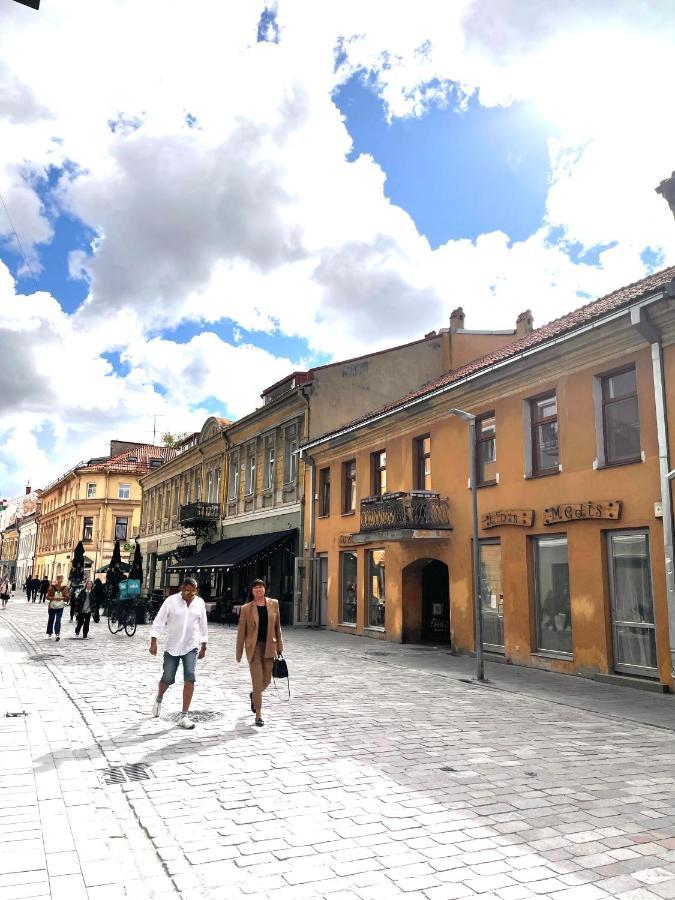 Stylish Apartment In The Heart Of Kaunas Old Town Dış mekan fotoğraf